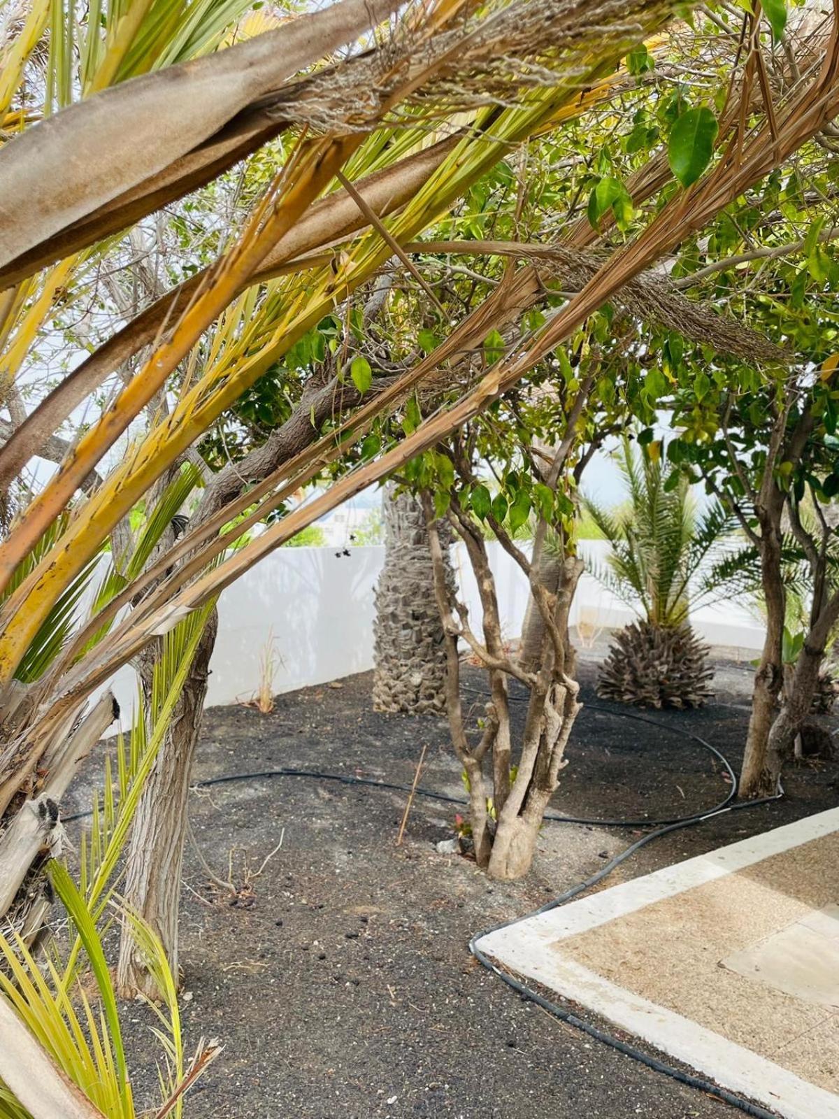 Villa Rosa Puerto del Carmen  Exterior photo